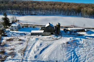 (private lake, pond, coastal) Home For Sale in Manns Choice Pennsylvania