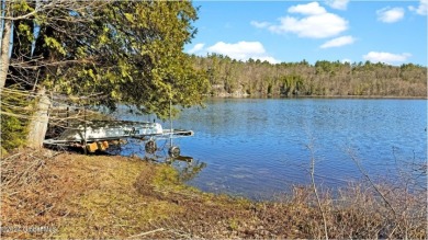 Remodeled lake-house on Paradox Lake. - photo 9