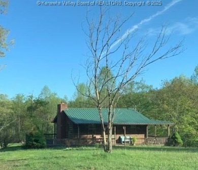 (private lake, pond, creek) Home For Sale in Harts West Virginia