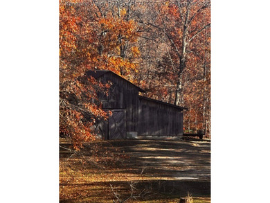 Escape to your own private 15.66-acre mountaintop retreat in - photo 2