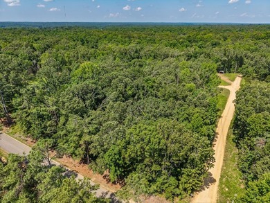 Enid Lake!! 4 lots approved for 4 houses/cabins. Has road - photo 12
