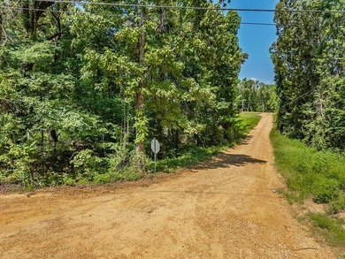Enid Lake!! 4 lots approved for 4 houses/cabins. Has road - photo 16