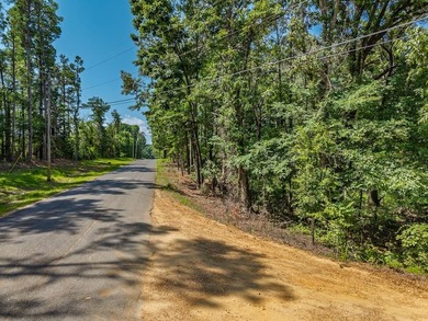 Enid Lake!! 4 lots approved for 4 houses/cabins. Has road - photo 17