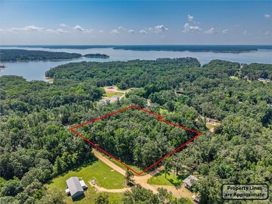 Enid Lake!! 4 lots approved for 4 houses/cabins. Has road - photo 20