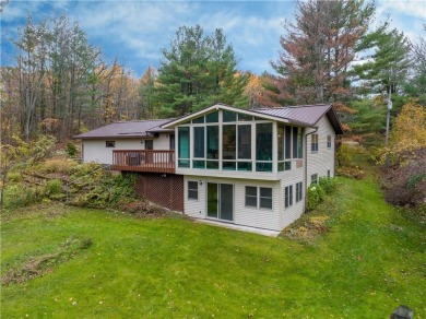 Lake Home For Sale in Sarona, Wisconsin