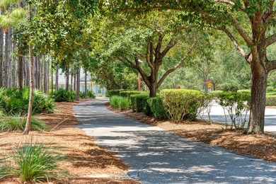 This gorgeous home is in the front of Watersound Origins, just - photo 27
