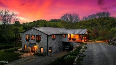 Lake Home For Sale in Lebanon, Virginia