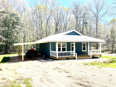 BACK ON THE MARKET AT NO FAULT OF THE SELLER!!  - Lake Home For Sale in Pachuta, Mississippi