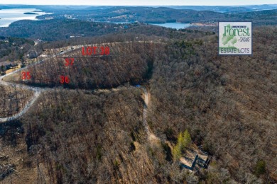Lake Forest Hills at Table Rock Lake, Lots 35 & 36 - photo 2