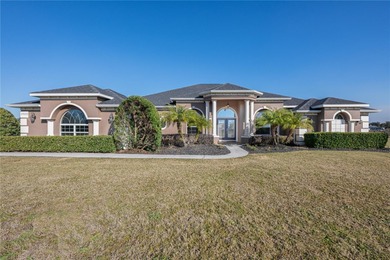 Lake Dora Home For Sale in Tavares Florida