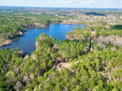 Lake Lot For Sale in Poplarville, Mississippi