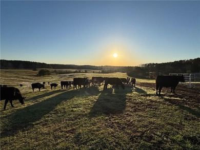 (private lake, pond, coastal) Acreage For Sale in Roanoke Alabama