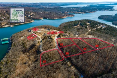 Lake Forest Hills at Table Rock Lake, Lots 35 & 36 - photo 6