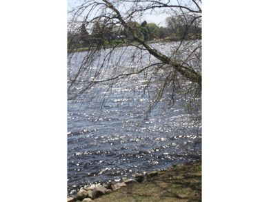 150 ft. of water frontage .Lot has in ground sprinklers and - photo 11