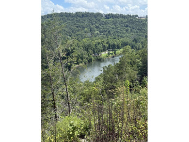 Prime building lot (Lot 29) overlooking the Norfork river, city - photo 12