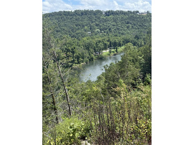 Prime building lot (Lot 29) overlooking the Norfork river, city - photo 14