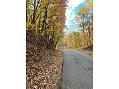 Lake Tamarack Lot For Sale in Jasper Georgia