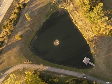 Nestled on over 15 acres of serene countryside, this elegant - photo 31
