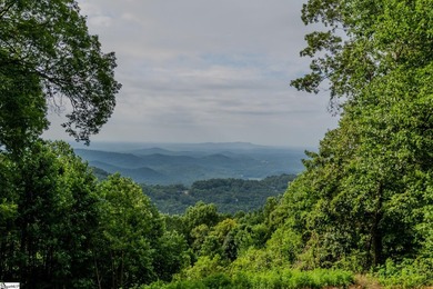 Welcome to Hodge Podge Lodge, a true family mountain retreat set - photo 3