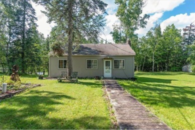 Lake Home For Sale in Alborn Twp, Minnesota