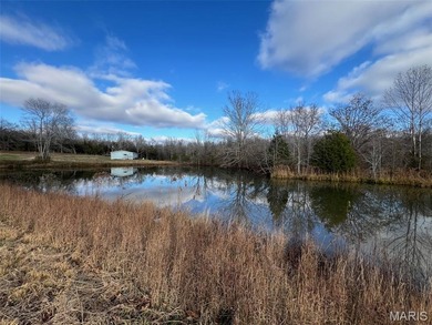 (private lake, pond, creek) Acreage For Sale in Fairdealing Missouri