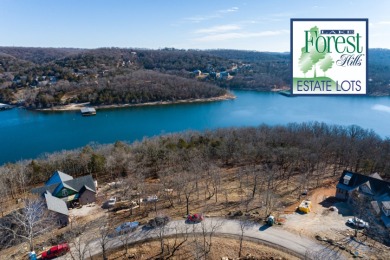 Lake Forest Hills at Table Rock Lake, Lots 35 & 36 - photo 13