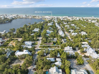 Prime Development Opportunity South of 30A - High & Dry in - photo 2