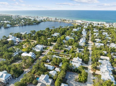 Prime Development Opportunity South of 30A - High & Dry in - photo 4