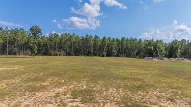 EXCLUSIVE & PRIVATE. this stunning 20.82 acre property near the - photo 4
