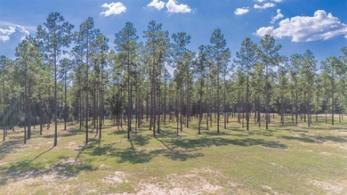 EXCLUSIVE & PRIVATE. this stunning 20.82 acre property near the - photo 5