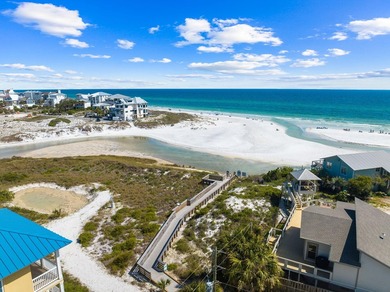 Prime Development Opportunity South of 30A - High & Dry in - photo 8