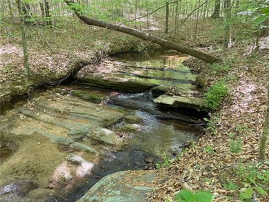 (private lake, pond, coastal) Acreage Active Under Contract in Reidsville North Carolina