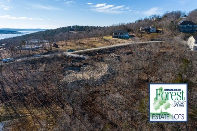 Lake Forest Hills at Table Rock Lake, Lots 35 & 36 - photo 11
