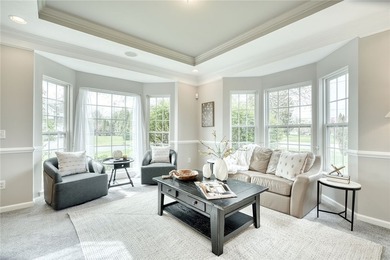 LIGHT! VOLUME! OPEN SPACE! Stunning Webster, NY home with SCALE - photo 5