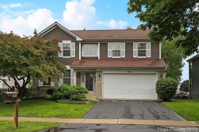Lake Home For Sale in Grayslake, Illinois