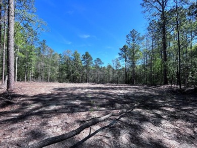 Anchor Lake Acreage For Sale in Carriere Mississippi