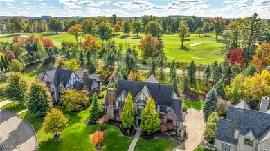 Step into a life of luxury and comfort, adjacent to Kirtland - photo 1