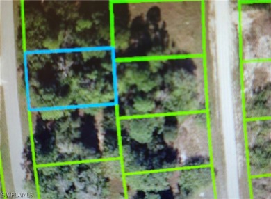 Lake Lot Off Market in Lake Placid, Florida