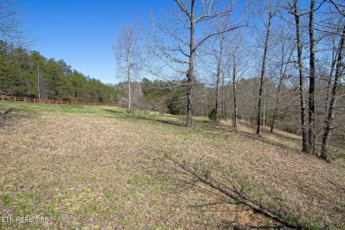 Lake Lot For Sale in Madisonville, Tennessee
