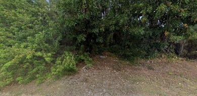 Port Charlotte Waterway Lakes Area Lot For Sale in Port Charlotte Florida