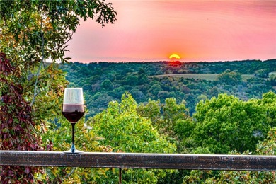 Unique Turn Key short term rental investment on Table Rock Lake - photo 41