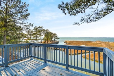 Chincoteague Bay waterfront with private dock, wide open bay - photo 44