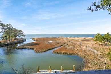 Chincoteague Bay waterfront with private dock, wide open bay - photo 47