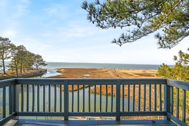 Chincoteague Bay waterfront with private dock, wide open bay - photo 49