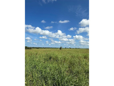 GREAT INVESTMENT OPPORTUNITY OR BUILD YOUR DREAM RANCH... 347 - photo 2