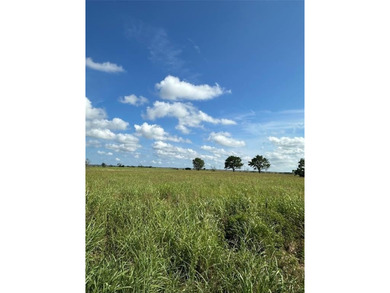GREAT INVESTMENT OPPORTUNITY OR BUILD YOUR DREAM RANCH... 347 - photo 3