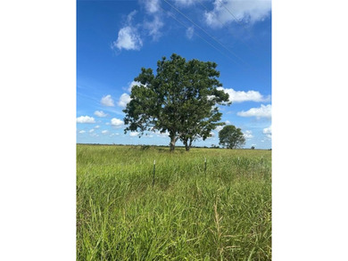 GREAT INVESTMENT OPPORTUNITY OR BUILD YOUR DREAM RANCH... 347 - photo 4