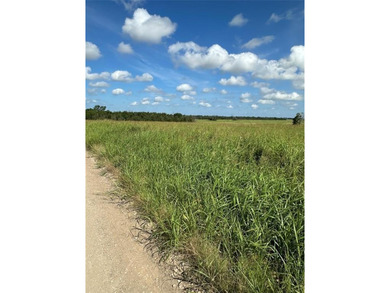 GREAT INVESTMENT OPPORTUNITY OR BUILD YOUR DREAM RANCH... 347 - photo 5