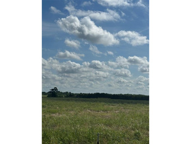 GREAT INVESTMENT OPPORTUNITY OR BUILD YOUR DREAM RANCH... 347 - photo 8
