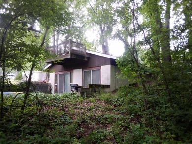 (private lake, pond, creek) Home For Sale in Dowagiac Michigan